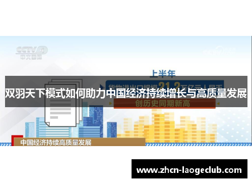 双羽天下模式如何助力中国经济持续增长与高质量发展